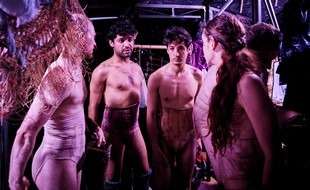 vignetteChaillot2024