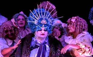 vignetteDamePiqueLiege