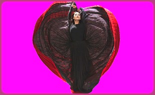 vignetteGrahambis2025jpg