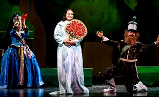 vignetteOperettaLand